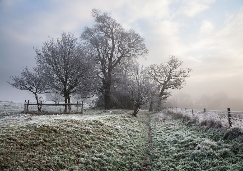 Invierno típico o más frío de lo habitual