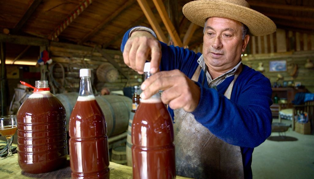La chicha de Curacaví cuenta con Denominación de Origen desde el 2017. Crédito: Instituto de Desarrollo Agropecuario (INDAP).