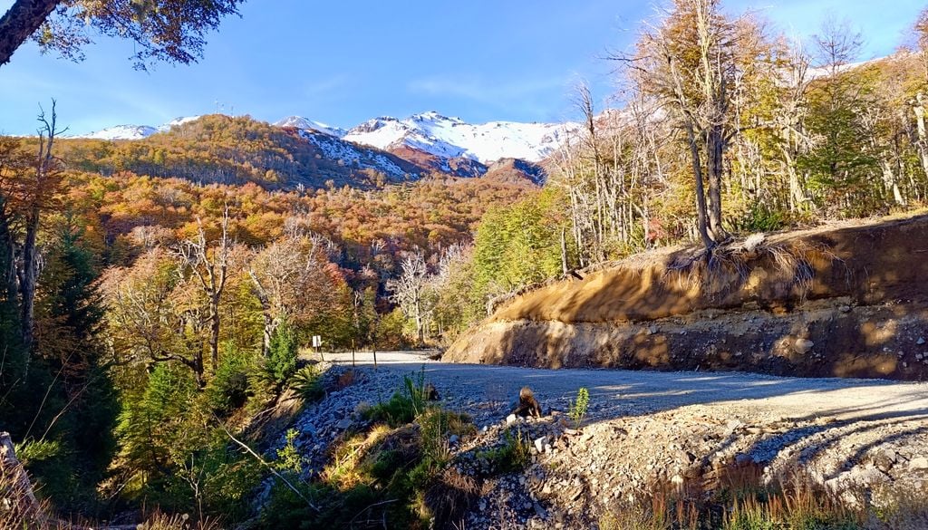 En mayo, Valle Las Trancas se tiñe de tonos otoñales.
