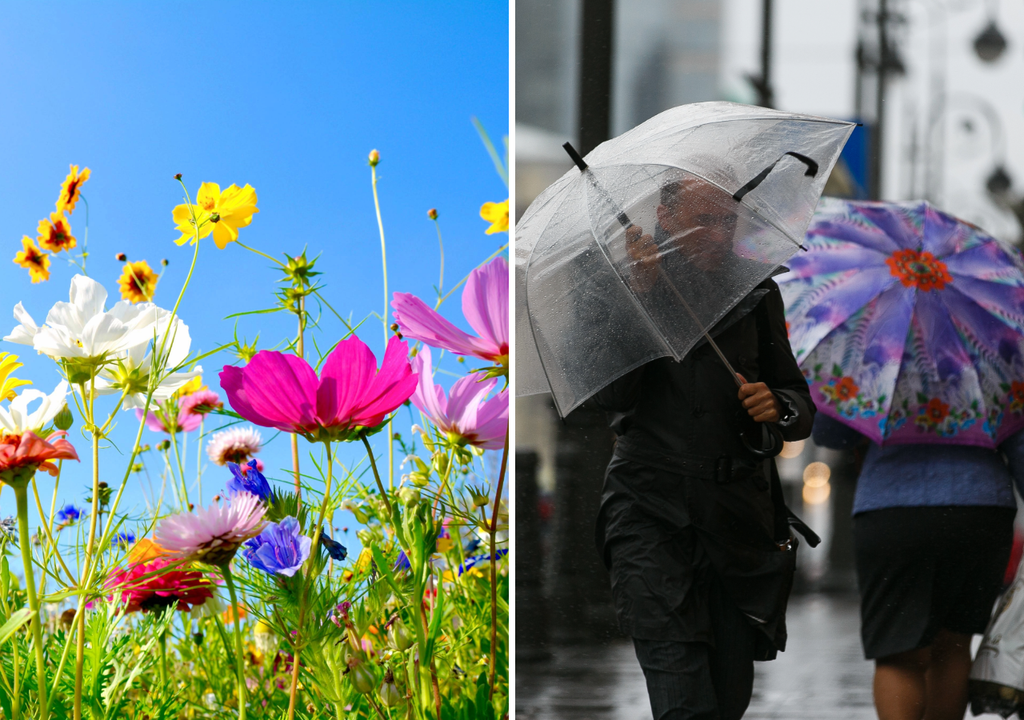flores y personas con paraguas