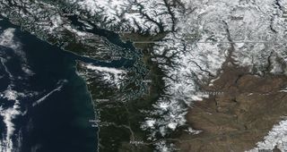 Seattle: 80 días sin sol