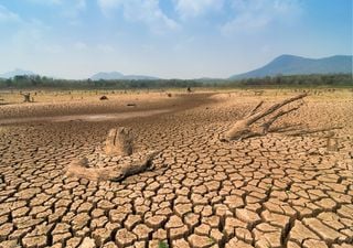 Alguns países em África estão a enfrentar uma seca devastadora