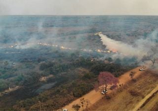 Focos de incêndio no pantanal é 900% maior em relação a 2023, segundo os dados do INPE