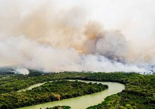 Seca histórica: Governo de Mato Grosso do Sul declara emergência ambiental no Pantanal por 180 dias
