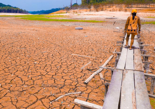 Seca no Norte do Brasil: com 637 mil pessoas afetadas no Amazonas, estado deixou de arrecadar R$ 1 bilhão