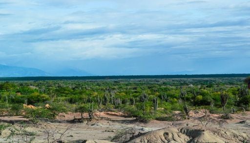 Seca recorde na Amaz&ocirc;nia coloca 5,2 mil localidades sob alerta h&iacute;drico