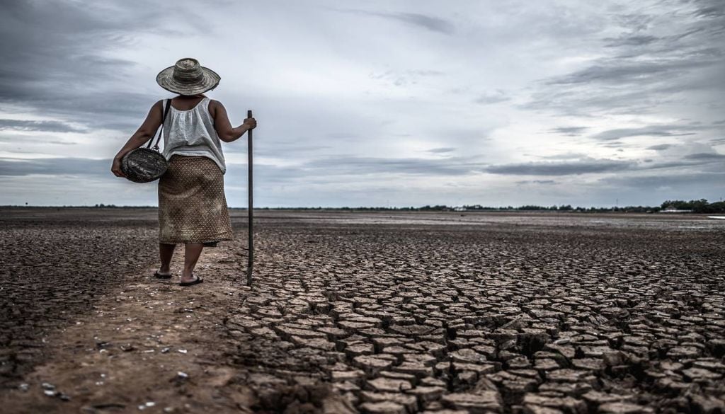 Perda acumulada de 14% da vegetação nativa no bioma amazônico intensifica a vulnerabilidade da região diante dos períodos de estiagem prolongada. Foto: Magnific