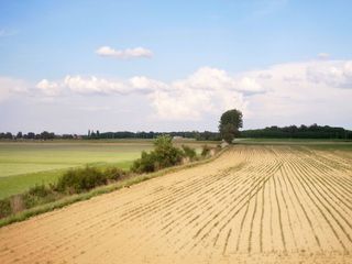 Sécheresse : 100 premiers jours de l’année historiquement secs au sud-est