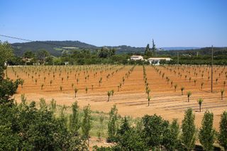 Sécheresse agricole : des restrictions d’eau déjà en place !