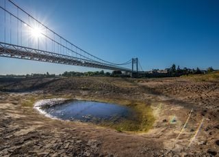 Le changement climatique a rendu la sécheresse d'été 20 fois plus probable