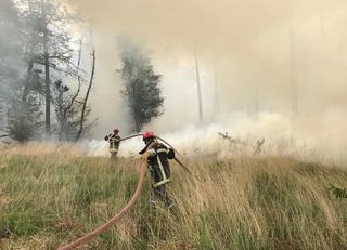 Drought: already the first fires, towards a high-risk summer