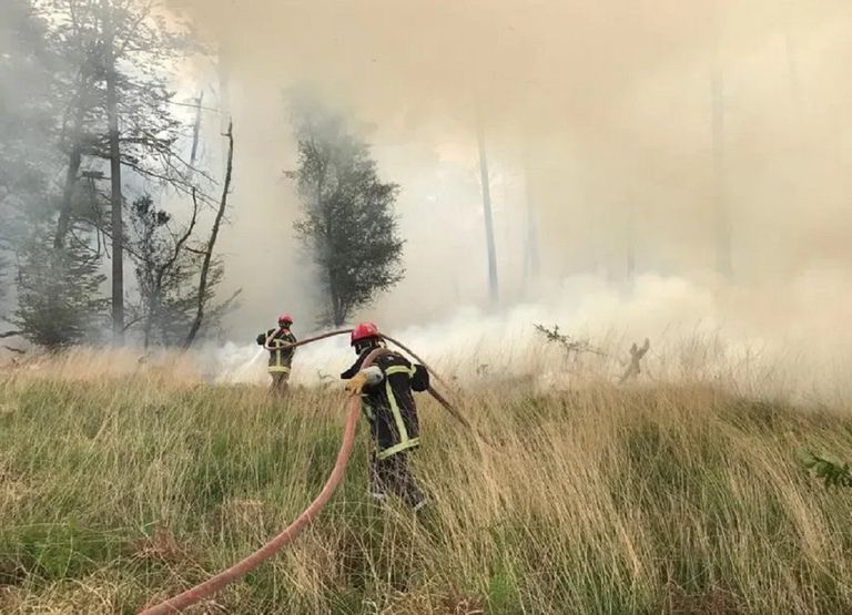 Sécheresse : déjà les premiers incendies, vers un été à hauts risques Sécheresse : déjà les premiers incendies, vers un été à hauts risques