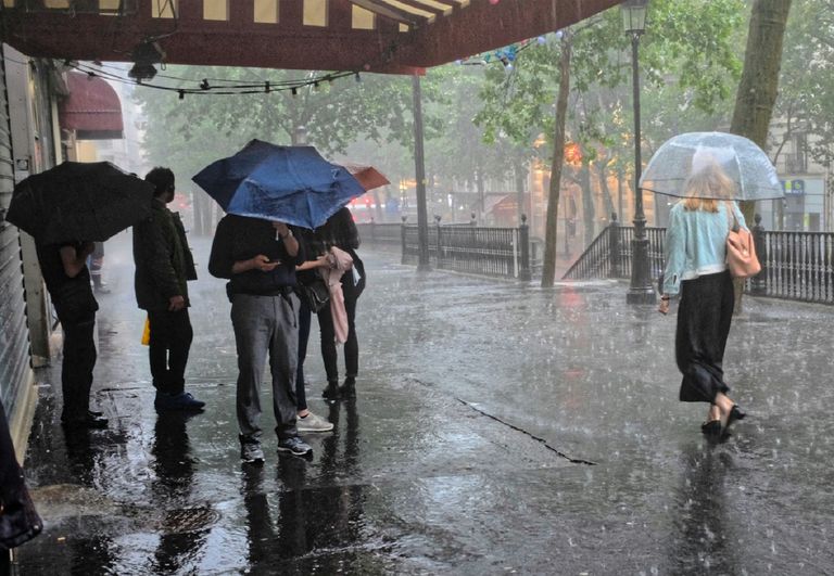 La pluie tant attendue s'apprête à faire son retour dans les deux tiers nord du pays dans un contexte de sécheresse déjà bien installée... La pluie tant attendue s'apprête à faire son retour dans les deux tiers nord du pays dans un contexte de sécheresse déjà bien installée...