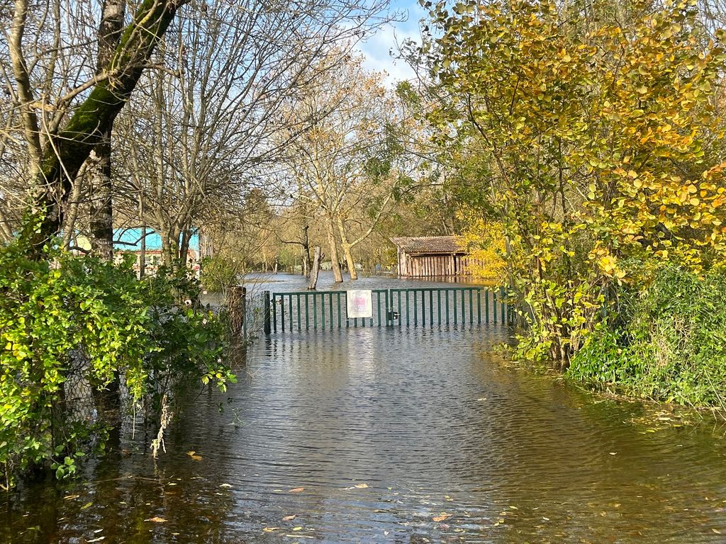 Les inondations sont toujours aussi nombreuses en ce début de printemps, comme dans le Marais poitevin (Charente-Maritime).