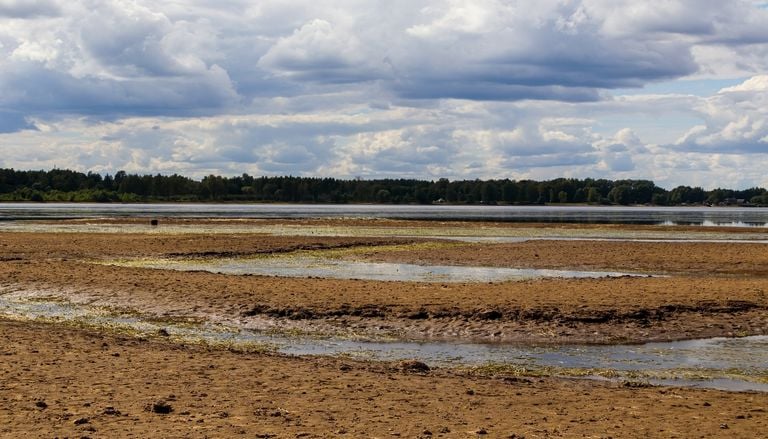 S&eacute;cheresse en France : des niveaux de nappes pr&eacute;occupants sur la majorit&eacute; du pays