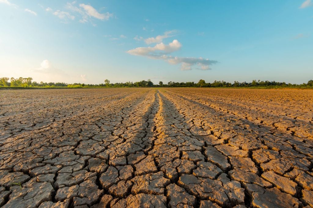 Les sols restent particulièrement secs dans une grande partie de la France Les sols restent particulièrement secs dans une grande partie de la France