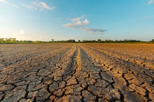 S&eacute;cheresse en France : le manque de pluie pourrait se prolonger jusqu'en semaine du 19 au 25 octobre