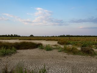 Sécheresse en France : où en est-on en ce début novembre ?