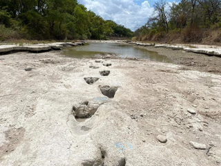 Historic drought: unexpected traces of the past discovered!