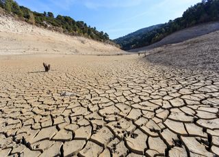Sécheresse : pourquoi la majorité de la France risque-t-elle de régulièrement manquer d'eau d'ici 2050 ? 