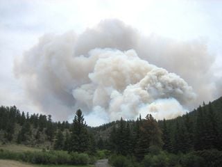 Sécheresse : recrudescence d'incendies ces derniers jours