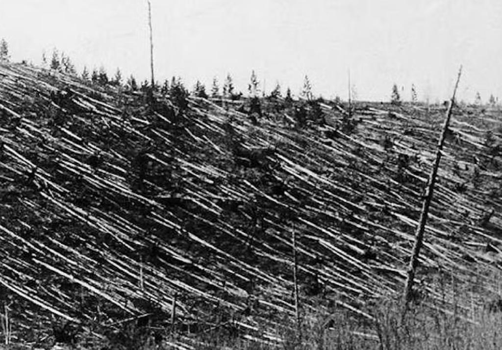 Tunguska In una foto storica la devastazione della foresta nei pressi di Tunguska prodotta dall'esplosione dell'omonimo asteroide.