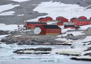 Secretário da ONU visitará a Antártica para expor efeitos da crise climática