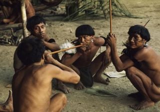 Según los expertos, todavía hay casi 200 pueblos no contactados en el mundo: la mitad podría desaparecer en una década