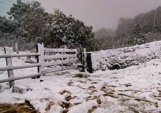 Segunda onda de frio do inverno será mais intensa: mapas da Meteored mostram possibilidade de neve no Sul do Brasil