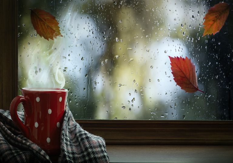 Lluvia de otoño Lluvia de otoño