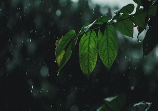 Segunda quincena de noviembre con menos lluvias