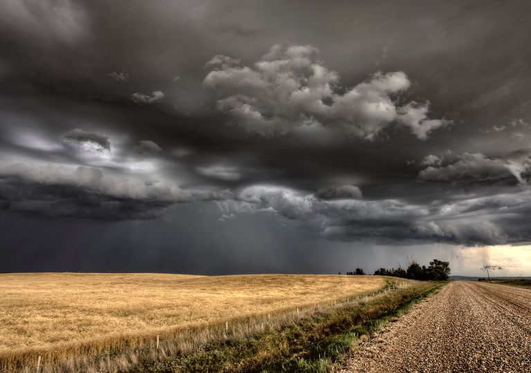 Tormenta campo Tormenta campo