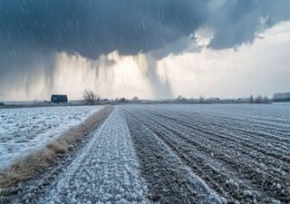 Seguros de colheitas com candidaturas abertas no PEPAC. Europa abre a porta a um mecanismo europeu de resseguro agr&iacute;cola