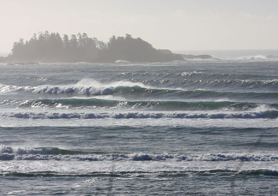 Tofino