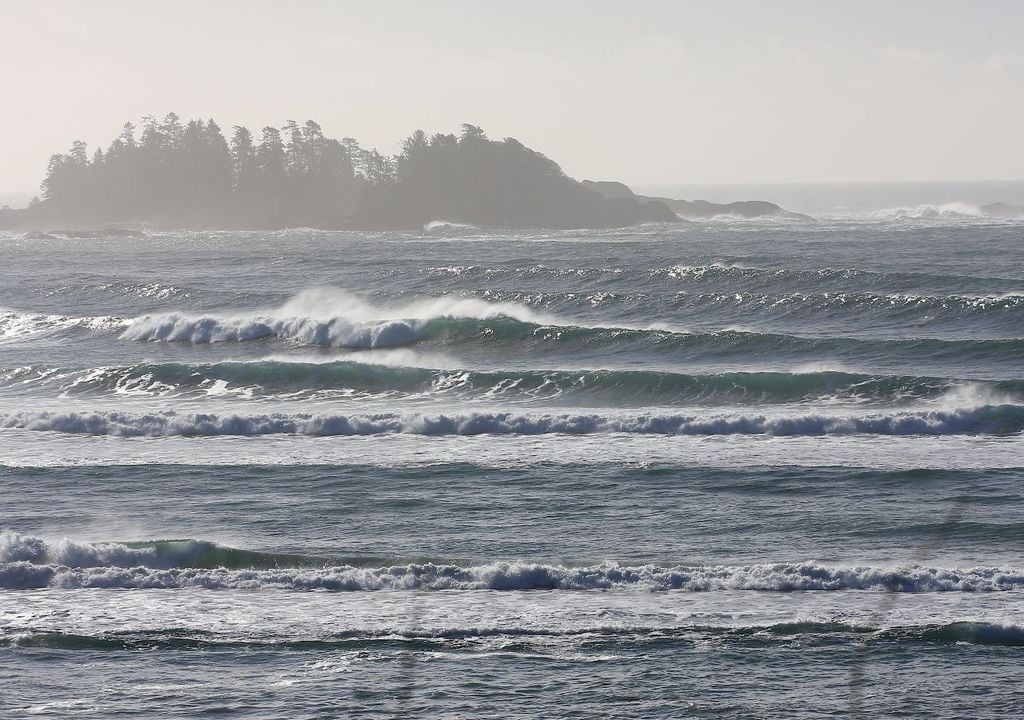 Tofino