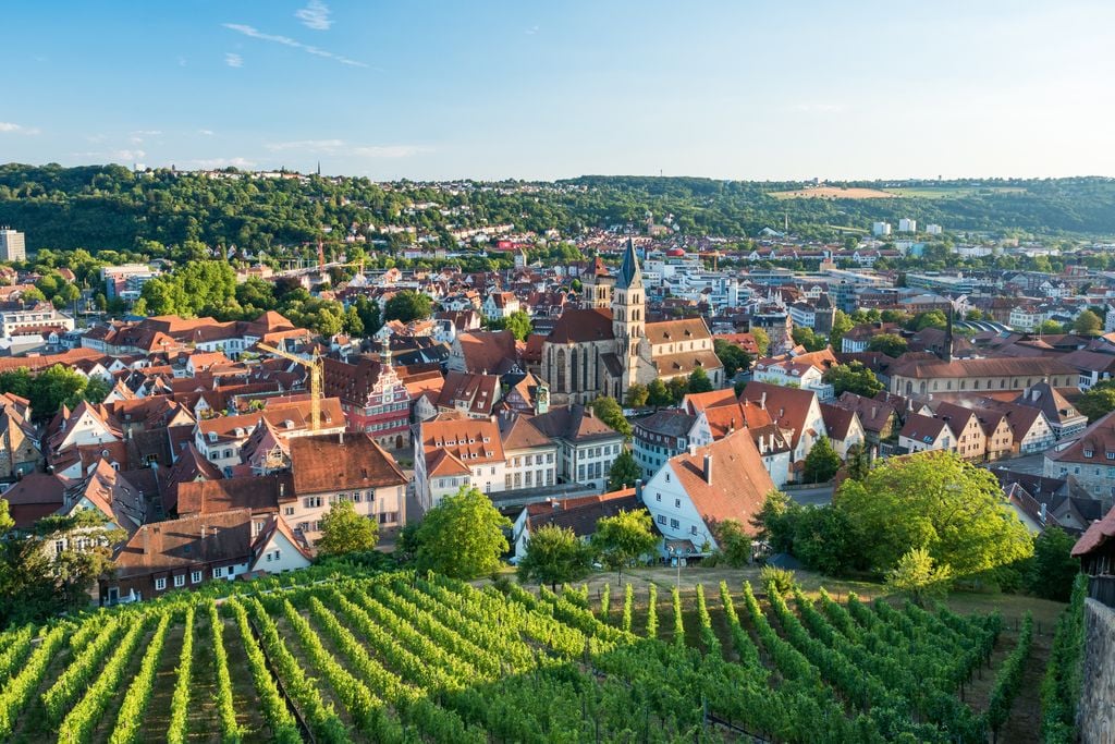 Weinberg Esslingen Esslingens Weinberge reichen bis an die Altstadt. Foto: Manuel Schönfeld / Adobe Stock