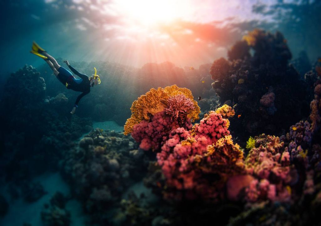 mulher escafandro profundezas oceano exploração aquática oceanografia coral