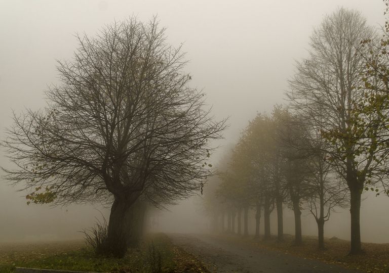 Neblina Neblina