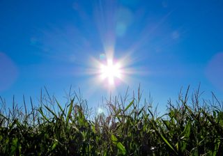 Semana arranca com calor em Portugal