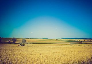 Semana clave para el agro