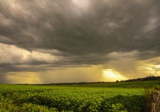 Semana com pancadas em boa parte do país e bons volumes para SE e CO