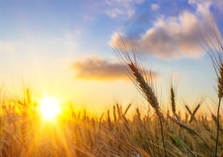 Semana com predomínio de tempo seco em praticamente todo o país