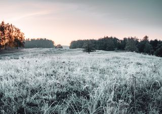 Início de semana: ar polar, geadas e frente fria chegando ao Nordeste