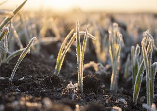 Semana con cambios meteorológicos, ¿llegará el frío?