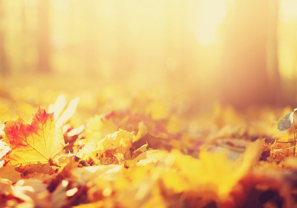 Contrastes este inicio de octubre