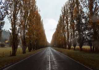 Semana con lluvias, tormentas y ¡heladas!