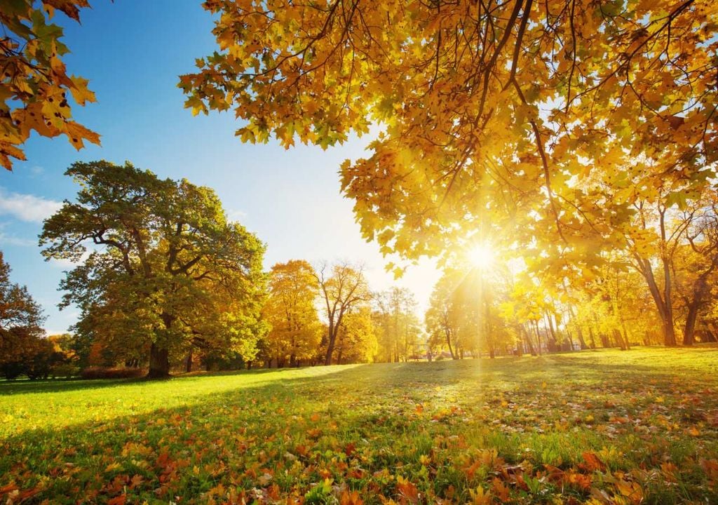 Apesar de o outono já estar instalado no calendário, o ambiente poderá fazer lembrar dias de verão em várias regiões de Portugal. A próxima semana promete ser mais quente e seca do que o habitual, com os termómetros a poderem alcançar os 30 ºC.