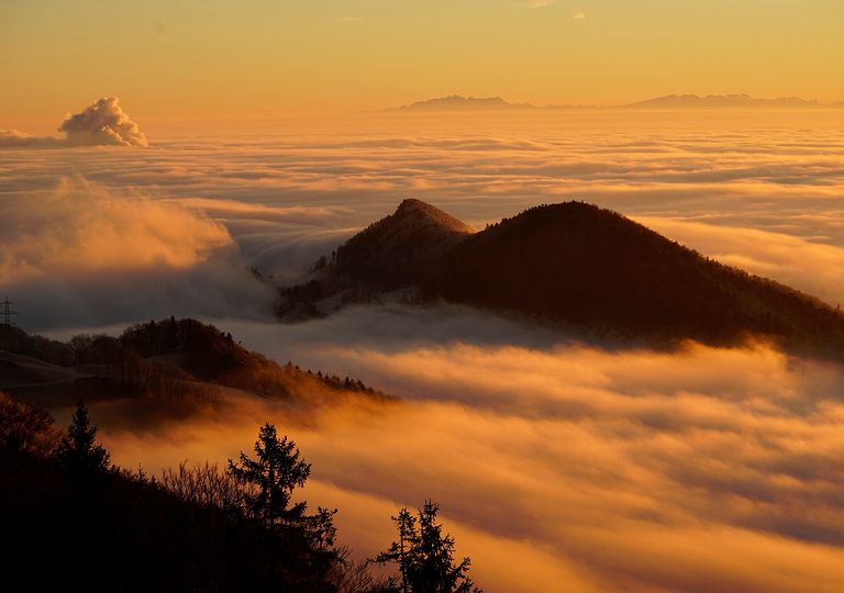 Niebla Niebla