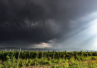 Semana de mudança: frio diminui e frente fria avança pela Região Sul