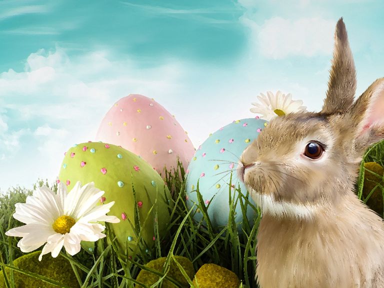 Pascua 2019 Pascua 2019